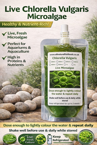 Microalghe clorella 800 - , ml
